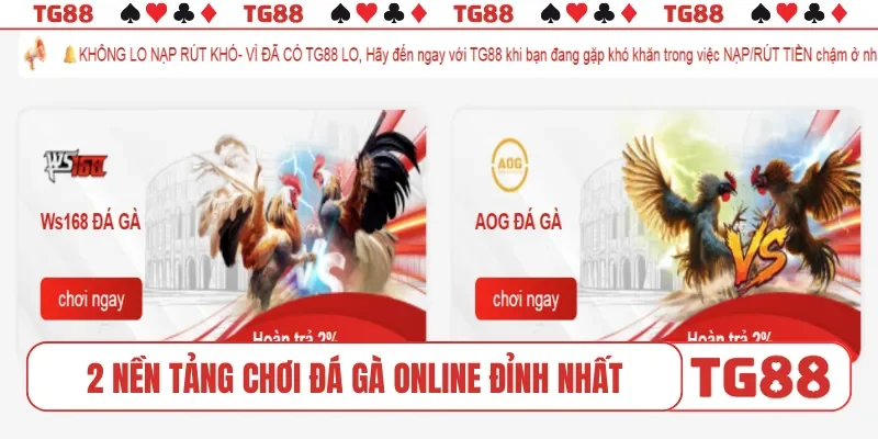 2 nền tảng chơi đá gà online đỉnh nhất