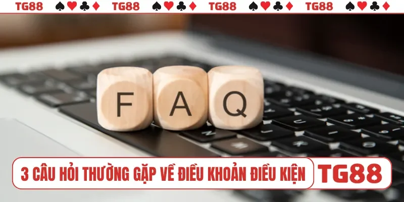 3 câu hỏi thường gặp về điều khoản và điều kiện