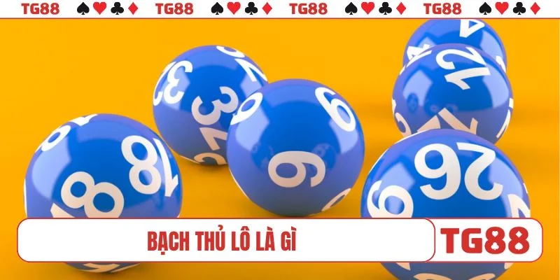 Bạch thủ lô là gì