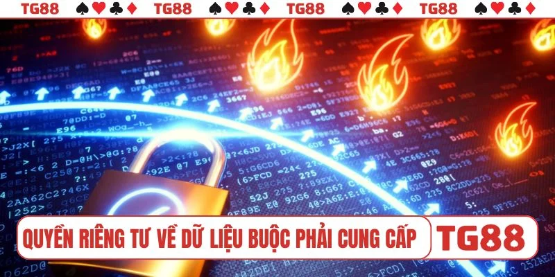 Quyền riêng tư về dữ liệu bắt buộc phải cung cấp
