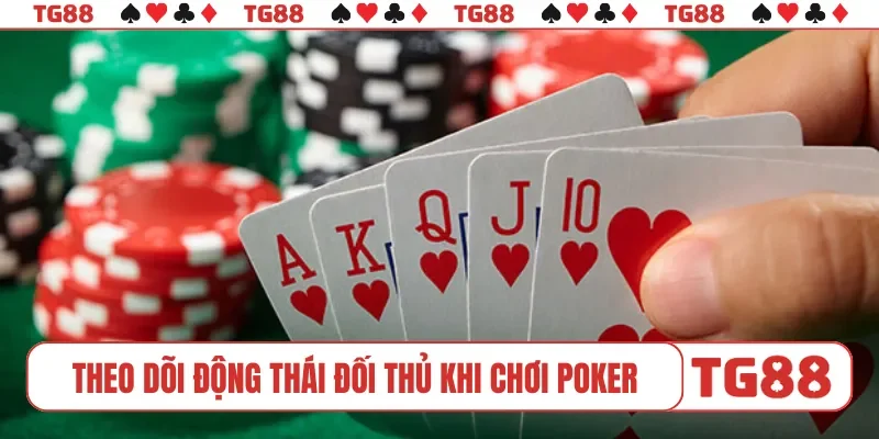 Theo dõi động thái đối thủ khi chơi poker